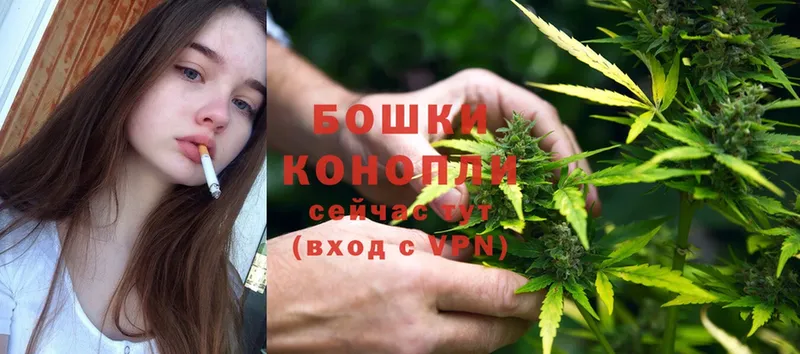 мега сайт  Елизово  Бошки Шишки OG Kush 